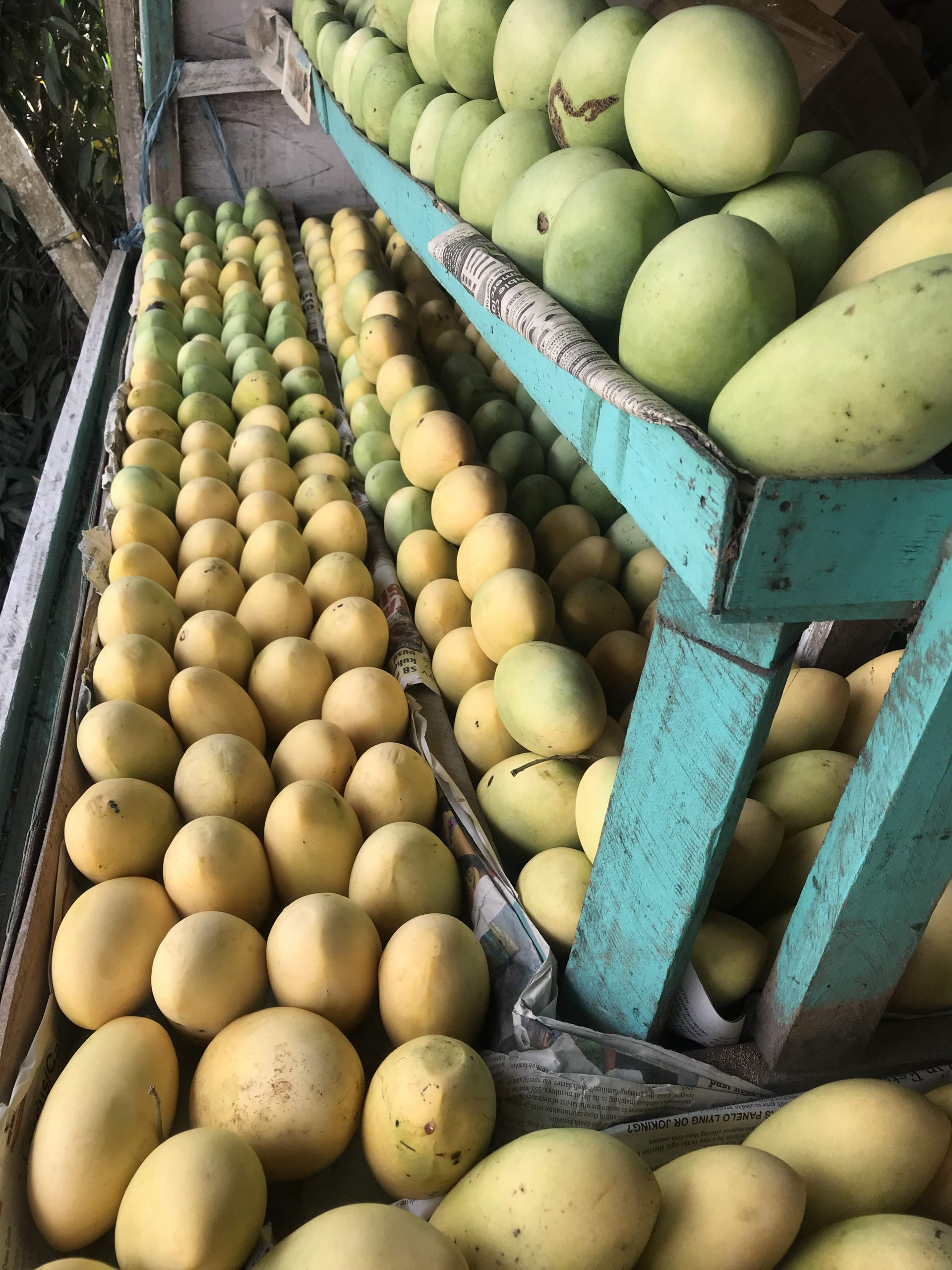 Guimaras The Secret Mango Island Less Traveled Eypee Kaamiño