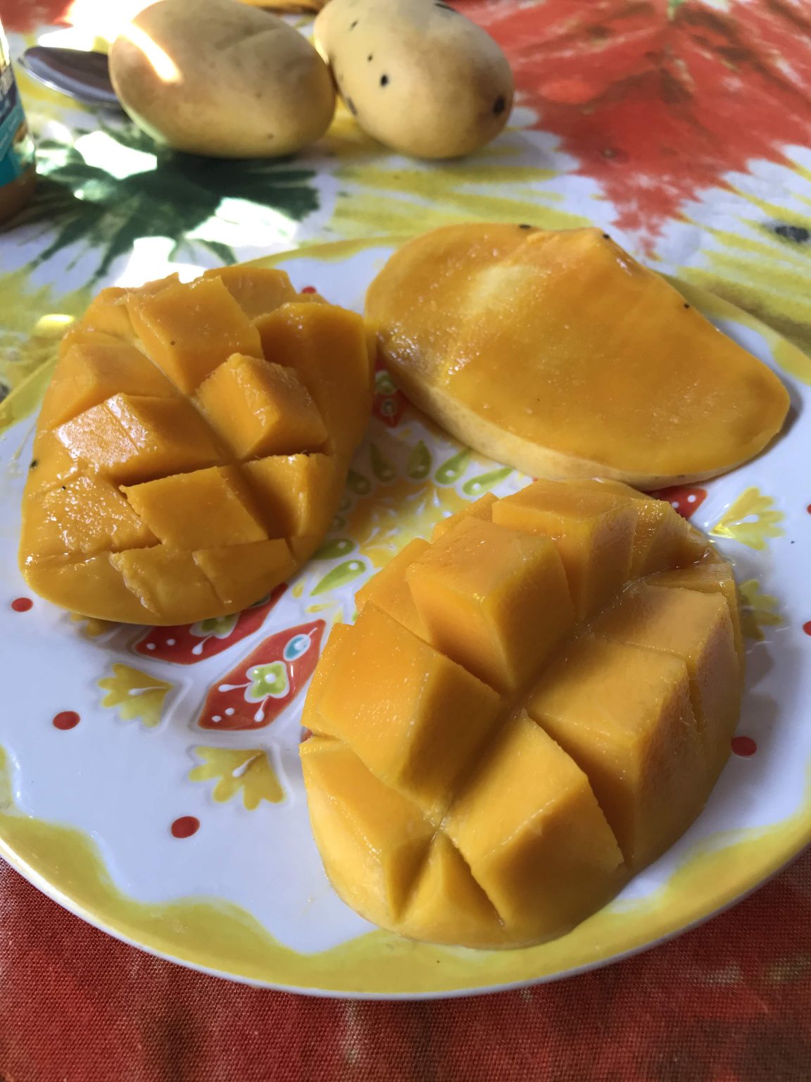 Guimaras The Secret Mango Island Less Traveled Eypee Kaamiño